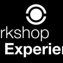 Workshop Experience
