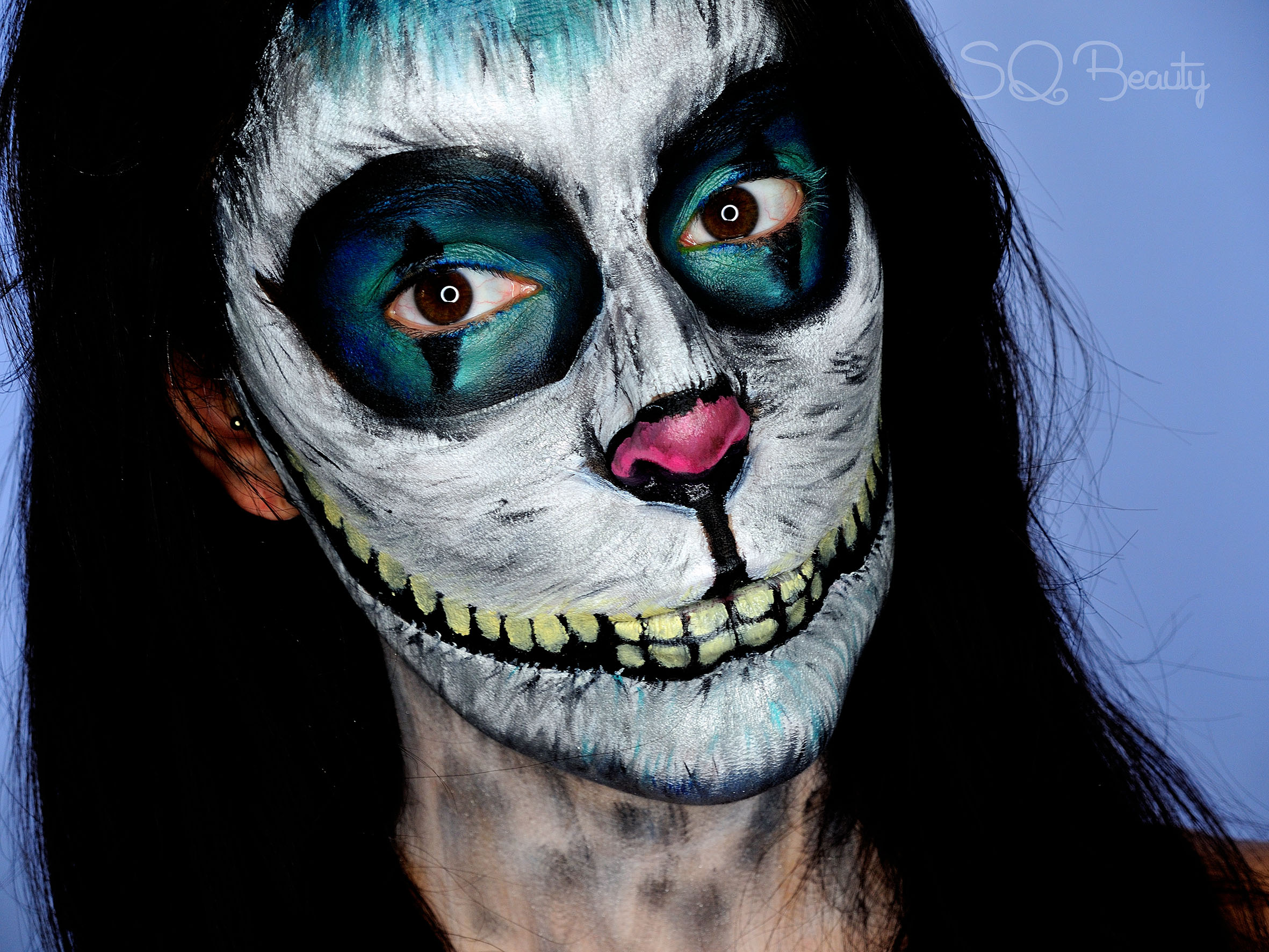 Tutorial Maquillaje Cheshire Gato Alicia en el País de las Maravillas -  Silvia Quirós